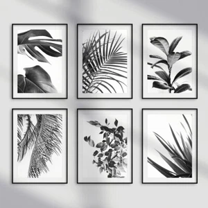 Impresiones de arte de pared tropical botánico en blanco y negro para sala de estar dormitorio cuadros - Imagen 1 de 24