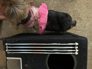 Lowrider Hydraulics Tank Rods - Picture 1 of 2