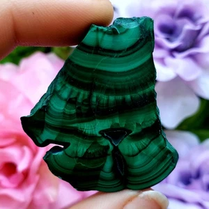 Malachite polished Slab natural crystal healing gemstone specimen  - exact pc#6 - Picture 1 of 5