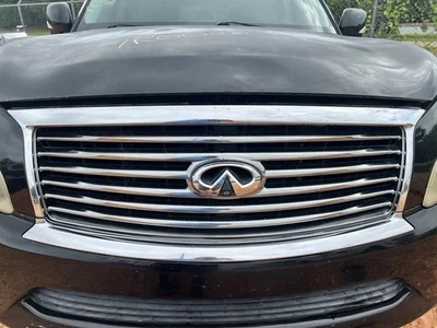 Решетка верхняя сквозная 10/11 подходит для 11-12 INFINITI QX56 104875828 - Изображение 1 из 4