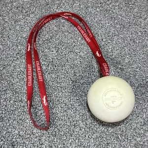BRINE Cradlebaby Lacrosse Indoor/Outdoor Practice Training Tool Red Strap - Picture 1 of 5