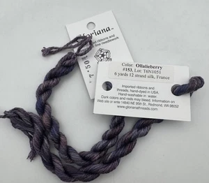 Gloriana 12 Strand Silk Floss For Needlework-2 Skeins/6 Yd Each-Ollalieberry - Picture 1 of 2
