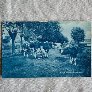 Dutch Boy Hand Milking Cow On Stool DELFT Cyanotype Postcard Wooden Shoes - Picture 1 of 2