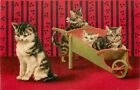 Helena Maguire Postcard 202 Mother Tabby Cat & Kittens Wheelbarrow Red Wallpaper