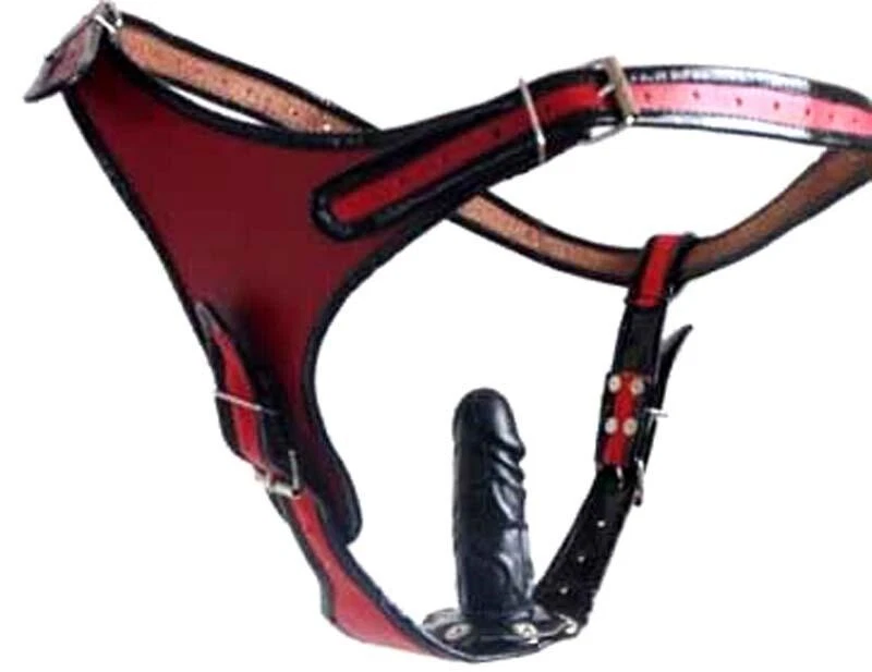 BDSM Leder Slip mit Dildo Penis Strap On mit Latex Dildo Analplug rot - Bild 1 von 1