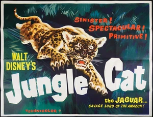 Jungle Cat ORIGINAL Quad Movie Film Cinema Poster Walt Disney 1960 - Foto 1 di 5