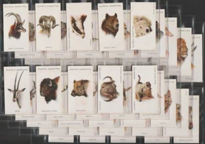 PLAYERS Cigarette Card Set - WILD ANIMALS HEADS 1931 - Big cats and their prey - Picture 1 of 11