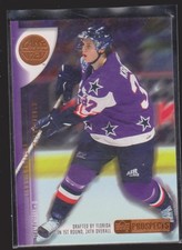 Major Minor League CHL OHL WHL LHJMQ ECHL Cards Inserts Rookies Collection (2/2)