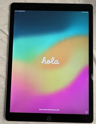 Apple iPad Pro 2nd Gen. 12,9. 512 GB Wifi + Cellular Space Gray (A1671) - Bild 1 von 4