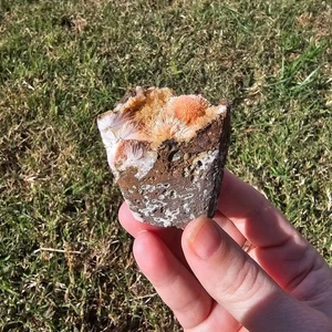 Thomsonite Specimen India Crystals Minerals Collectible Gifts - Picture 1 of 4