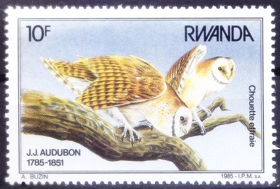 Ruanda 1985 MNH, Western Barn Owl, Birds of Prey, Owls Foto 1 de 1