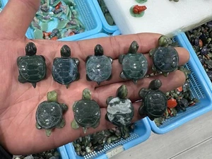 5pc Natural aquatic agate Crystal Quartz Carved Crystal Sea turtle reiki Random - Picture 1 of 7