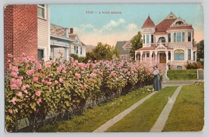 California A Rose Hedge & Queen Anne House postcard E.H. Mitchell #1910 - Picture 1 of 2