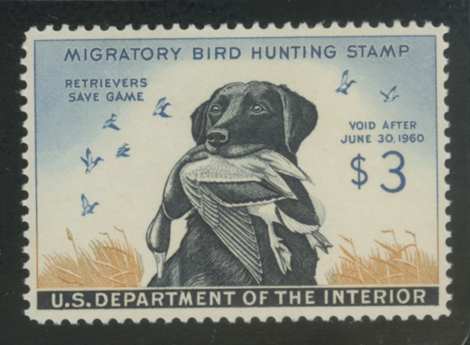US, RW24 Hunting Permit DUCK Stamp - single Unused Mint Lightly Hinged - Image 1 of 1
