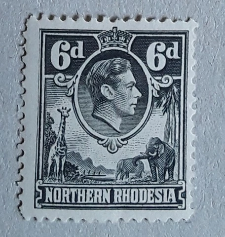 NORTHERN RHODESIA 1938-52 KGV1 SG38 6d grey MLH Cover