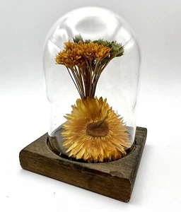 VINTAGE LEONARD CREATIONS CALIFORNIA GETROCKNETE BLUMEN UNTER GLASKUPPEL AUF HOLZSOCKEL - Bild 1 von 6