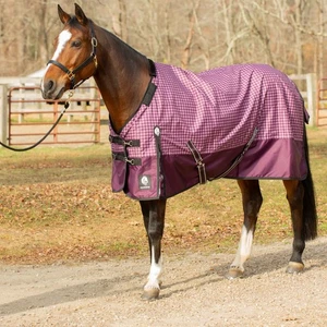 Equinavia Norse Light Weight Turnout Blanket (100g) - Picture 1 of 4