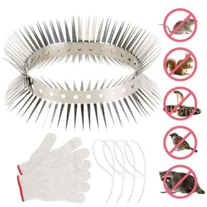 Stainless Steel Bird Spikes for Small Birds Pigeons Repellent Strips Fence Spike - Picture 1 of 12