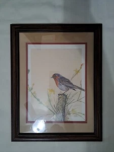 Vintage handgezeichnete Vögel professionell gerahmt signiert J. Horton 127 Singvögel - Bild 1 von 4