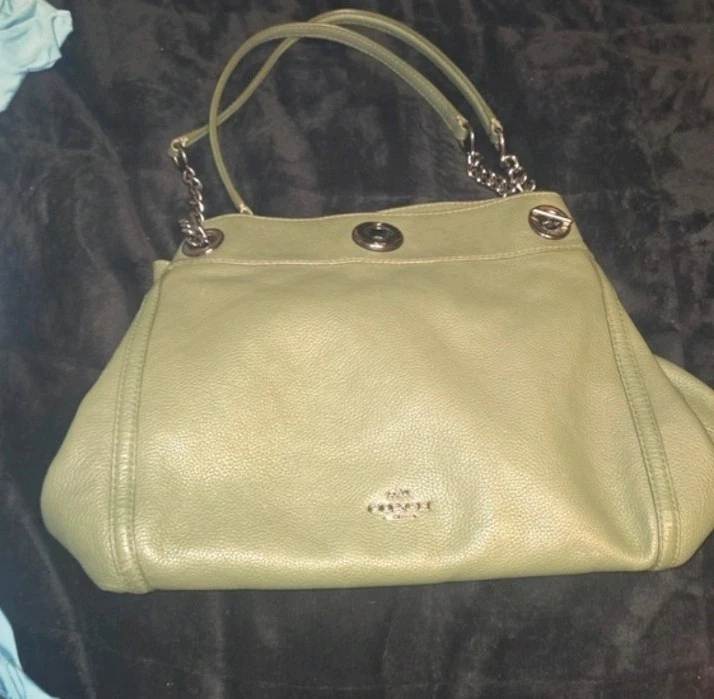Coach Edie 31 Shoulder Bag Hobo Purse Olive Green Turn Lock Zip Around Divider - Image 1 of 4