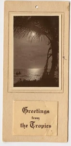 Antico Calendario Con Foto Dei Tropici - Completo - 1934 - Picture 1 of 1