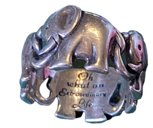 Anillo de plata esterlina con banda de elefante talla 5 troncos para la suerte mensaje grabado - Imagen 1 de 10