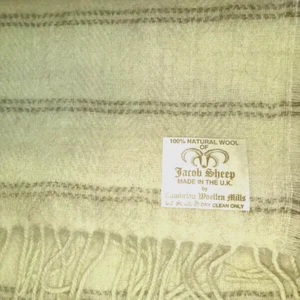 Handloomed Jacob Wool Brushed Cream Coloured Wool Scarf - Cambrian Woollen Mills - Picture 1 of 1