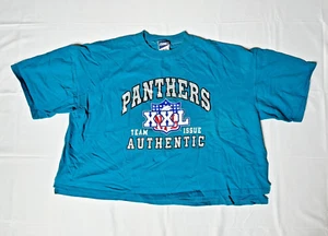T-shirt vintage Carolina Panthers NFL calcio anni 90 sport punto singolo XXL - USA - Foto 1 di 9