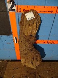 A2280 3" DICK - Kirsche Maser Endkappe rustikales Regal - luftgetrocknet - Bild 1 von 2