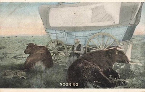 "Mittag" Mittagsruhe in Oregon Postkarte Wagen Rinder - Bild 1 von 2