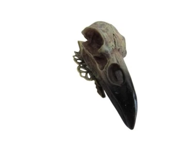 Raven Skull Hair Barrett/Clip Bird Skull Goth Raven Dark Hair Jewelry Resin 4914 - Image 1 of 4