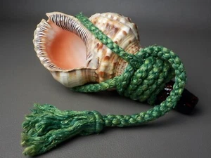 JAPANESE 26cm 10.2" HORAGAI CONCH HORN TRUMPET SEA SHELL BUDDHIST INSTRUMENT NR - Picture 1 of 19