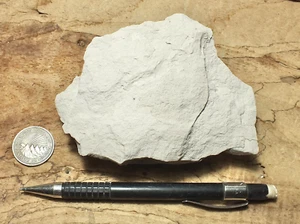 claystone - teaching hand specimen of diatomaceous claystone from the Sisquoc Fm - Picture 1 of 5