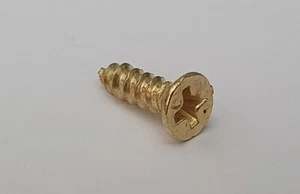 50Pcs Small GOLD Screws Set M2x8mm Door DollHouse Wood Model Box Chest Lid - Picture 1 of 4