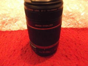 Canon EF-S 55-250mm f/4-5.6 IS - Lens - Picture 1 of 7