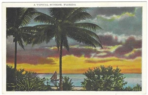 Vintage Florida Leinen Postkarte ein typisches Sonnenaufgang Palmen Segelboot - Bild 1 von 2
