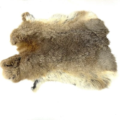 NUEVO Piel de conejo curtida piel de piel artesanal real decoración de piel de animal marrón natural #2366 Foto 1 de 4