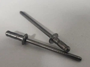 Genuine NOS N.O.S Original HSV ID Build Tag Rivets VT Grange GTS Senator - Imagen 1 de 4