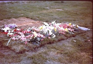 November 1958 35 mm Kodachrome Farbdia Transparenz frische Grabblumen - Bild 1 von 1