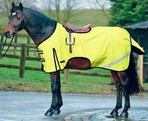 Horse Masters Hi-Vis Exercise Sheet Adjustable Winter Waterproof Reflective - Picture 1 of 1