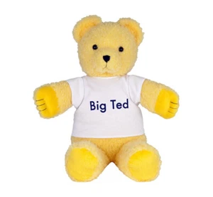  Play School ABC - BIG TED Teddy Bear 16"/40cm stuffed animal soft plush toy NEW - Picture 1 of 3