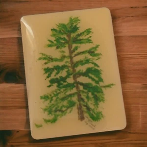 Ponderosa Fir Lapel Pin Artist Signed Pine Tree Handpainted Tie Tack Enameled - Picture 1 of 10