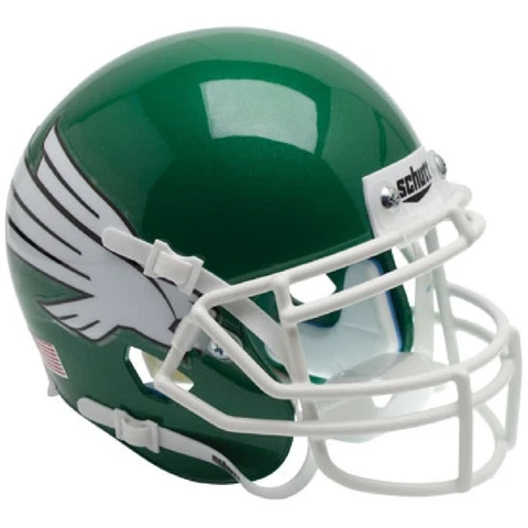 NORTH TEXAS MEAN GREEN NCAA SCHUTT MINI FOOTBALL HELMET Cover