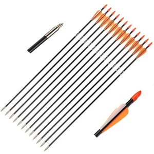 12Pcs 31 Inch Archery Fiberglass Target Practice Arrows for Recurve Compound Bow - Picture 1 of 12