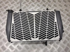 2018 DUCATI MULTISTRADA MULTISTRADA 1260 PIKES PEAK Radiator - Picture 1 of 6