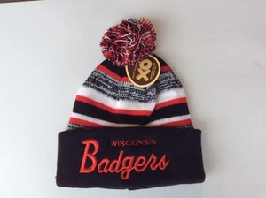 Wisconsin Badgers  Multi Color Tassel Fleece Lined Hat - Picture 1 of 1