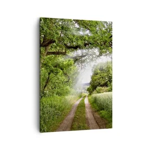 Quadro su Tela 50x70cm Percorso natura foresta verde Stampe Immagini Murale - Foto 1 di 10