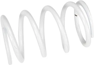 Team 210135-003 Polaris Primary Clutch Springs Steel - White 210135-003 930108 - Picture 1 of 4