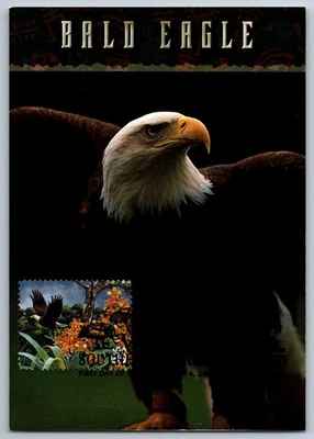 #4099d Southern Florida Wetland Bald Eagle FDC Maxi Card w/Pict Cancel - Image 1 of 2