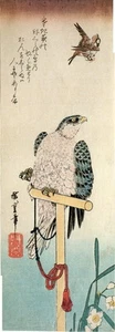 Hiroshige, Birds & Botanical. Falcon Eyeing a Sparrow, Asian style 1988 print - Picture 1 of 1